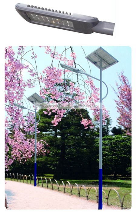 太陽(yáng)能路燈